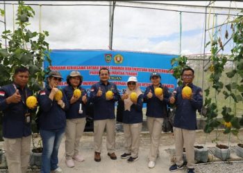 Terapkan Teknologi Smart Green House, Dinas TPHP Prov Kalteng panen melon berkualitas tinggi