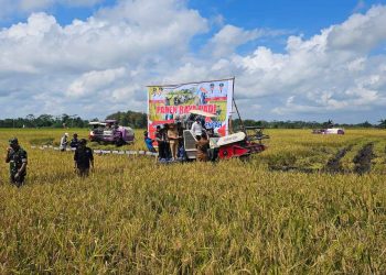 Dinas Ketahanan Pangan Kawal Panen Raya