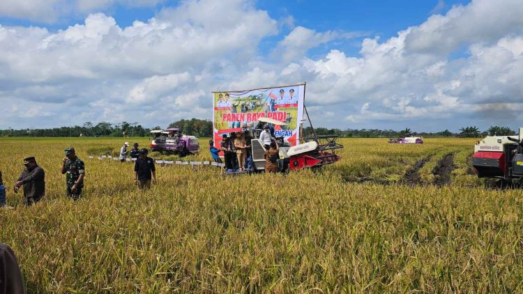 Dinas Ketahanan Pangan Kawal Panen Raya