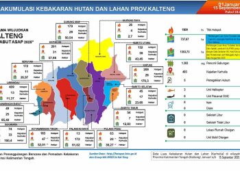Luas Karhutla di Kalteng Semakin Terkendali, BPBD Perkuat 77 Poslap dan Edukasi Masyarakat