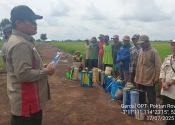 TPHP Lakukan Pengendalian Penyakit Hawar Daun