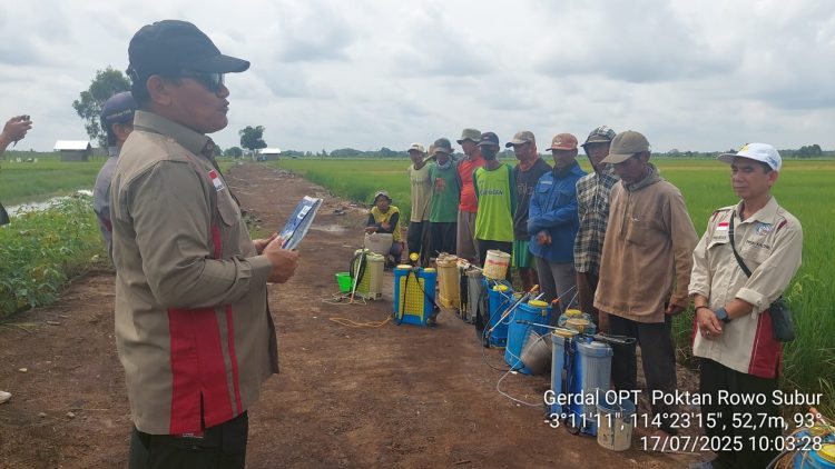 TPHP Lakukan Pengendalian Penyakit Hawar Daun