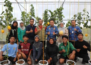 Dinas TPHP Prov. Kalteng Gandeng UPN Veteran Yogyakarta Dalam Penelitian dan Budidaya Melon