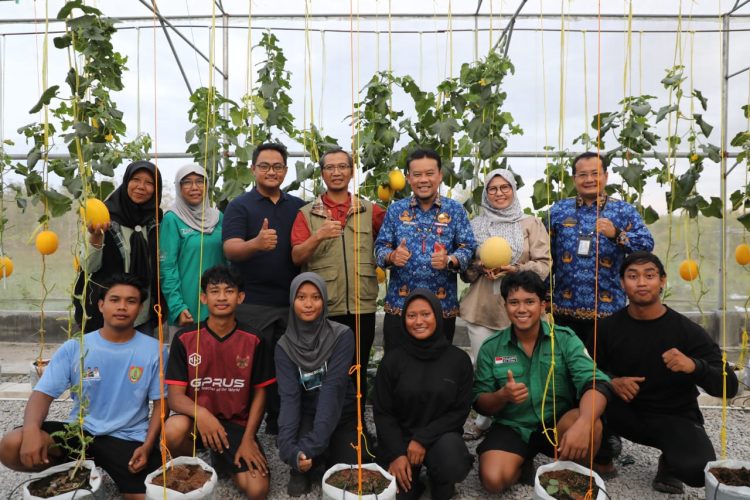 Dinas TPHP Prov. Kalteng Gandeng UPN Veteran Yogyakarta Dalam Penelitian dan Budidaya Melon