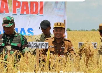 Tingkatkan Produksi dan Mutu Beras