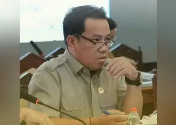 Digitalisasi Permudah Akses Layanan Pemerintah