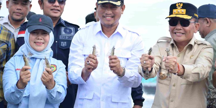 Gubernur Dorong Ekonomi Perikanan di Kawasan Shrimp Estate 