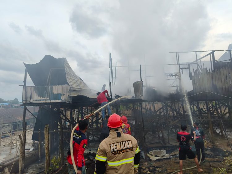 Si Jago Merah Mengamuk di Pahandut Seberang dan Panarung Bawah