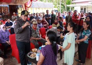 Wagub Akhiri Kunker DAS Barito dengan Resmikan Pasar Penyeimbang