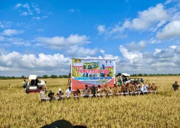 DPRD Hadiri Panen Raya Padi di Desa Terusan Mulya