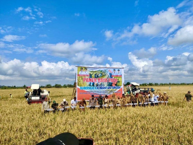 DPRD Hadiri Panen Raya Padi di Desa Terusan Mulya